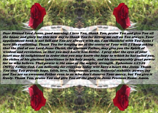 © Photo Artist Susan Ruth Robertson 090025006100 SX 400 IS (70) - Copy.JPG