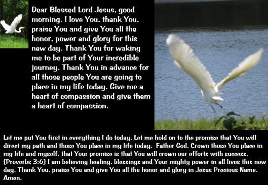 © Photo Artist Susan Ruth Robertson 090025006100 SX 400 IS (97) - Copy - Copy.JPG