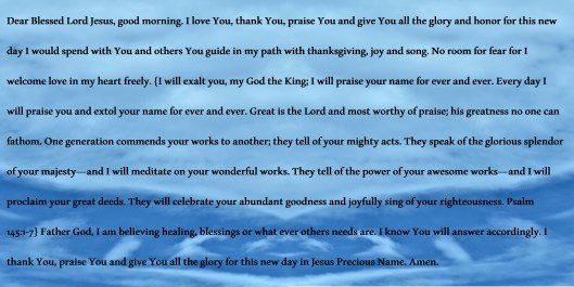 © Photo Artist Susan Ruth Robertson 090025006100 SX 540 HS (73) - Copy.JPG