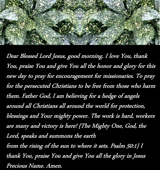 © Photo Artist Susan Ruth Robertson 090025006100 SX 400 IS  (194) - Copy.JPG