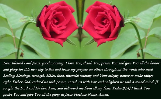 © Photo Artist Susan Ruth Robertson 090025006100 SX 400 IS (3) - Copy.JPG