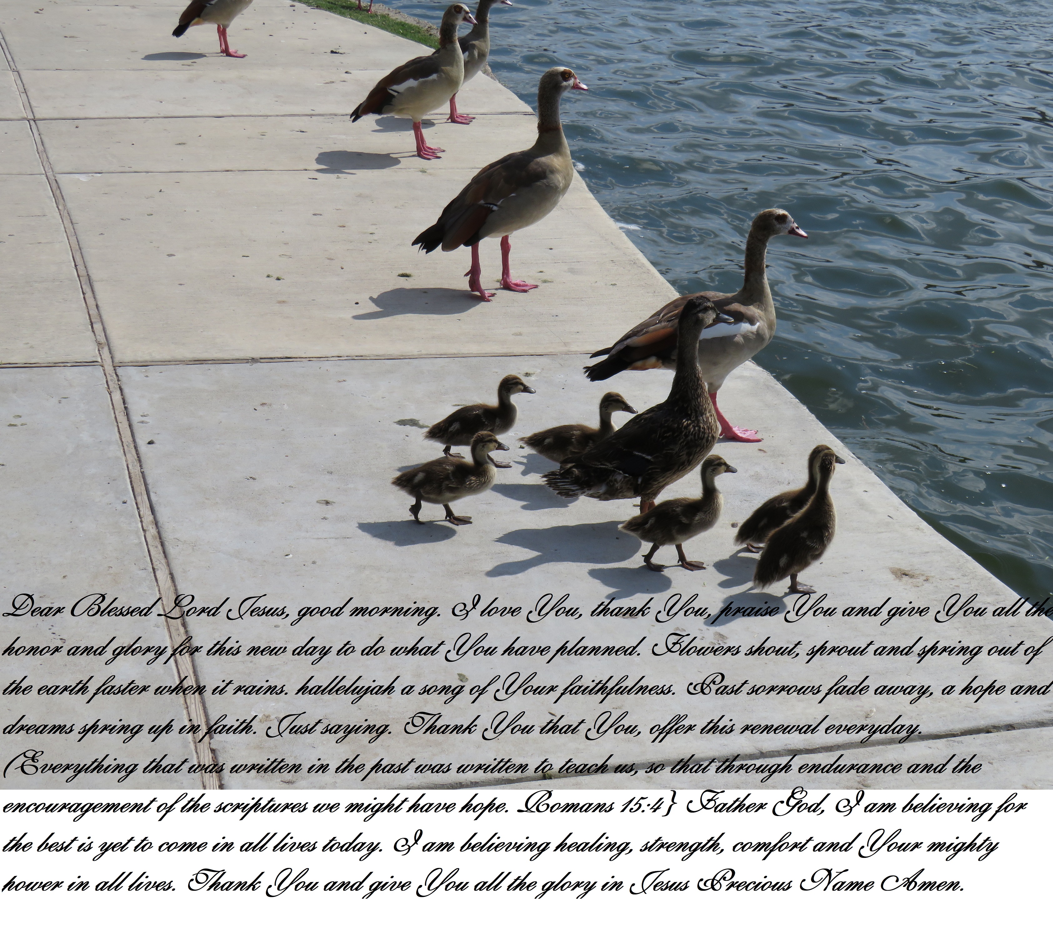 © Photo Artist Susan Ruth Robertson 090025006100 SX 540 HS  (43).JPG