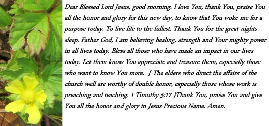 Jan 26,2013 with 25 moon 001 Photo Artist Susan Robertson (4).JPG