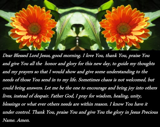 Photo Artist Susan Robertson (4) - Copy.JPG