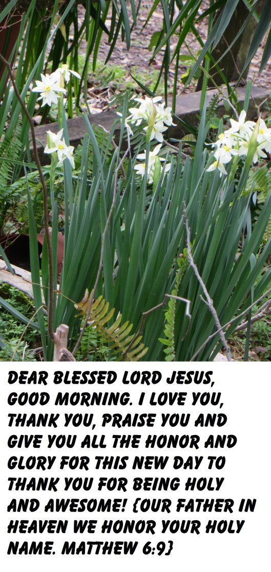 Jan 26,2013 with 25 moon 001 Photo Artist Susan Robertson (6).JPG