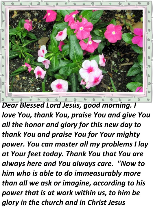 © Photo Artist Susan Ruth Robertson 090025006100 002.JPG