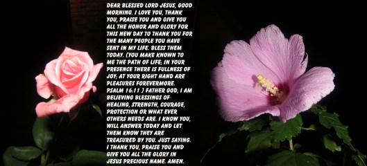 © Photo Artist Susan Ruth Robertson 090025006100 SX 400 IS  (28) - Copy.JPG