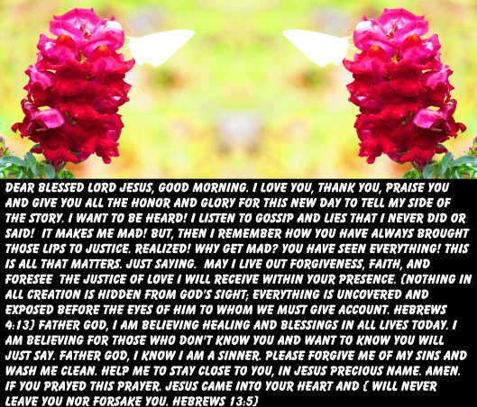 © Photo Artist Susan Ruth Robertson 090025006100 SX 400 IS   (4) - Copy.JPG