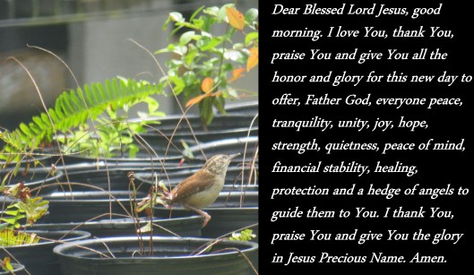 © Photo Artist Susan Ruth Robertson 090025006100 SX 400 IS  (9) - Copy.JPG