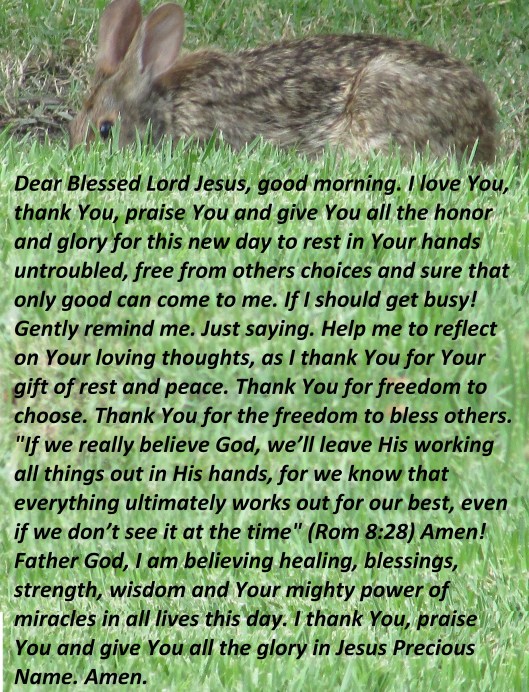 2017-05-23 © Photo Artist Susan Ruth Robertson 090025006100 SX 400 IS 077 - Copy.JPG