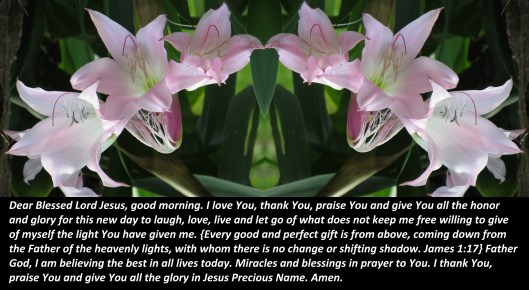 IMG_7462 - Copy - Copy - Copy - Copy.JPG