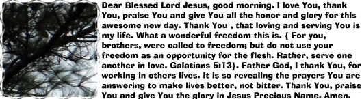 Photo Artist Susan Robertson (13).JPG