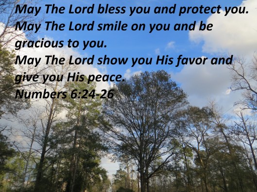 Photo Artist Susan Robertson (16).JPG