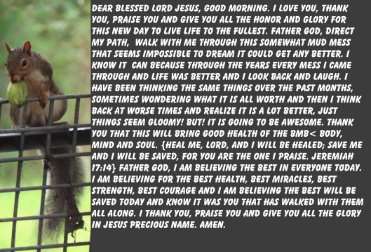 © Photo Artist Susan Ruth Robertson 090025006100 SX 400 IS  (24) - Copy.JPG