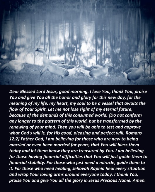 © Photo Artist Susan Ruth Robertson 090025006100 SX 400 (10) - Copy.JPG