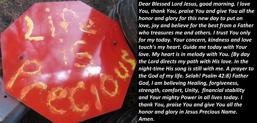 © Photo Artist Susan Ruth Robertson 090025006100 SX 400 (12).JPG