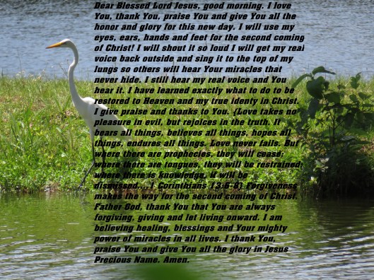 © Photo Artist Susan Ruth Robertson 090025006100 SX 400 IS (104).JPG