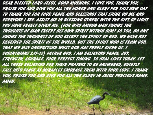 © Photo Artist Susan Ruth Robertson 090025006100 SX 400 IS (132) - Copy.JPG