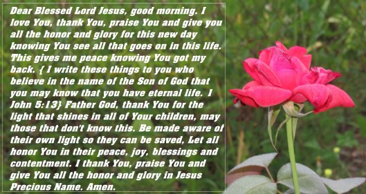 © Photo Artist Susan Ruth Robertson 090025006100 SX 540 HS (23) - Copy.JPG