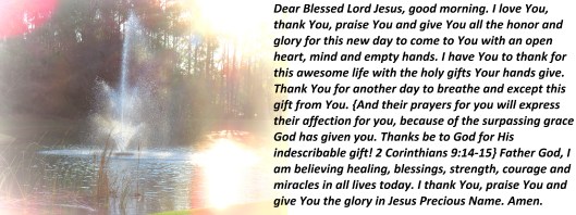 © Photo Artist Susan Ruth Robertson 090025006100 SX 540HS (6).JPG