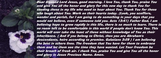 © Photo Artist Susan Ruth Robertson 090025006100 SX 540HS (7).JPG