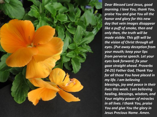 © Photo Artist Susan Ruth Robertson 090025006100 SX 540HS (71).JPG