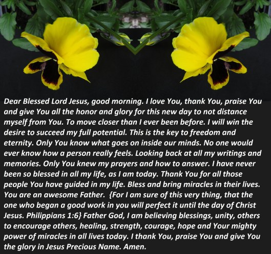 © Photo Artist Susan Ruth Robertson 090025006100 SX 540HS (82) - Copy.JPG