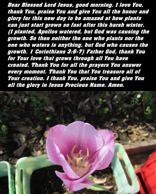 © Photo Artist Susan Ruth Robertson 090025006100 SX 400  (41).JPG