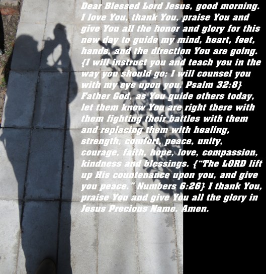 © Photo Artist Susan Ruth Robertson 090025006100 SX 400  (5).JPG