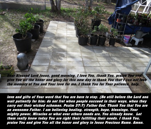 © Photo Artist Susan Ruth Robertson 090025006100 SX 400 IS (9).JPG