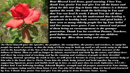 © Photo Artist Susan Ruth Robertson 090025006100 SX540HS 032 - Copy.JPG