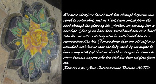 © Photo Artist Susan Ruth Robertson 090025006100 SX 400 IS (180) - Copy.JPG