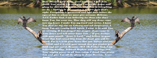 © Photo Artist Susan Ruth Robertson 090025006100 SX540HS 029 - Copy.JPG
