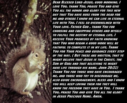 © Photo Artist Susan Ruth Robertson 090025006100 SX 400  (134) - Copy.JPG