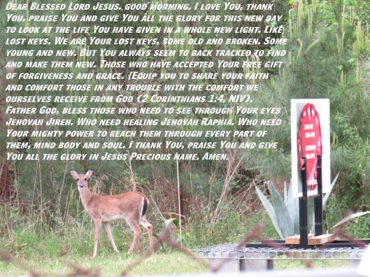 © Photo Artist Susan Ruth Robertson 090025006100 SX 400 (19) - Copy.JPG