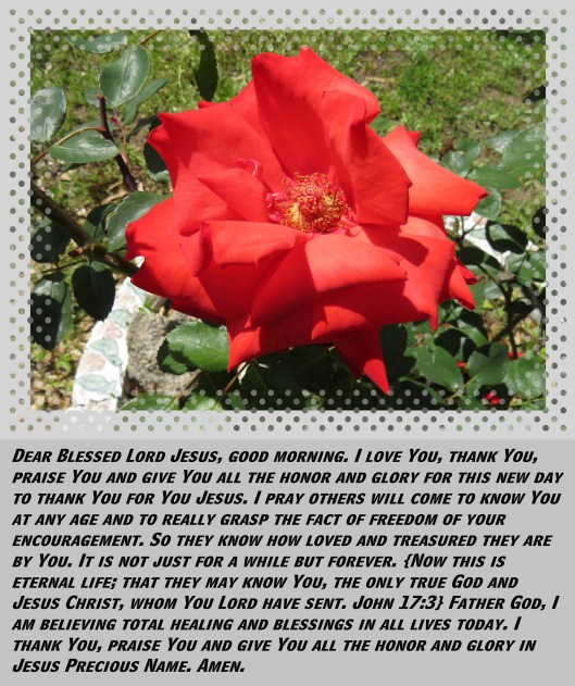 © Photo Artist Susan Ruth Robertson 090025006100 SX 400 (24) - Copy.JPG