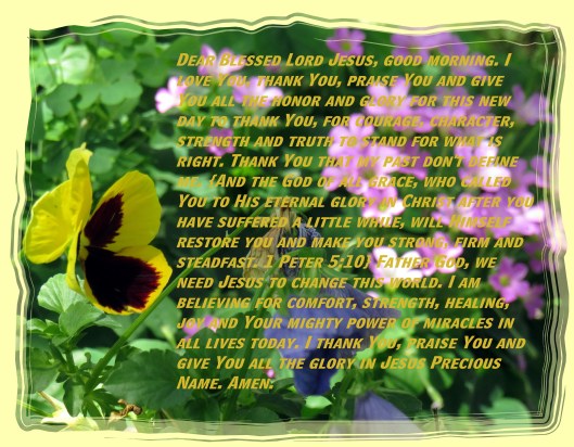 © Photo Artist Susan Ruth Robertson 090025006100 SX 400 (27) - Copy.JPG