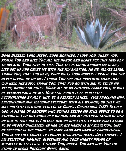 © Photo Artist Susan Ruth Robertson 090025006100 SX 400 (3) - Copy.JPG