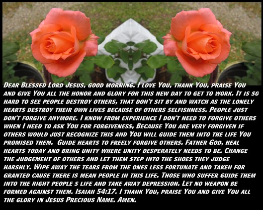 © Photo Artist Susan Ruth Robertson 090025006100 SX 400 (38) - Copy.JPG