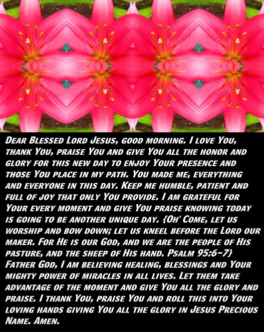 © Photo Artist Susan Ruth Robertson 090025006100 SX 400 (10) - Copy - Copy.JPG