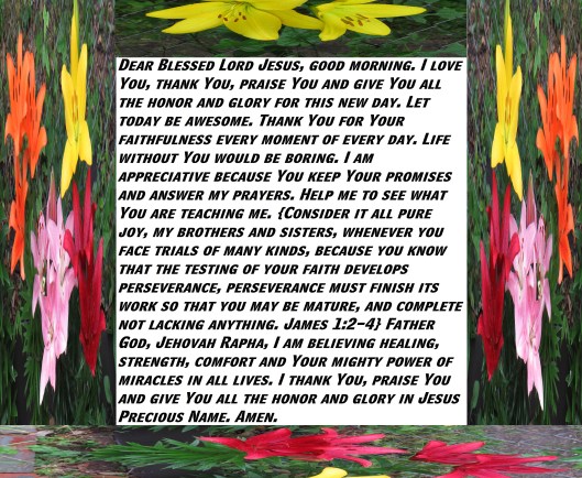 © Photo Artist Susan Ruth Robertson 090025006100 SX 400 (11) - Copy.JPG