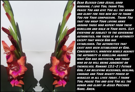 © Photo Artist Susan Ruth Robertson 090025006100 SX 400 (16) - Copy.JPG