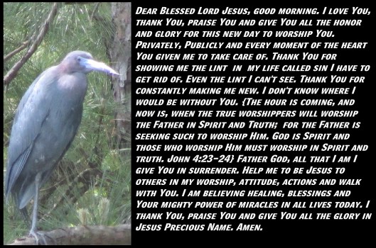 © Photo Artist Susan Ruth Robertson 090025006100 SX 400  (28) - Copy.JPG