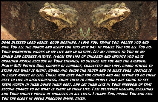 © Photo Artist Susan Ruth Robertson 090025006100 SX 400 (28).JPG