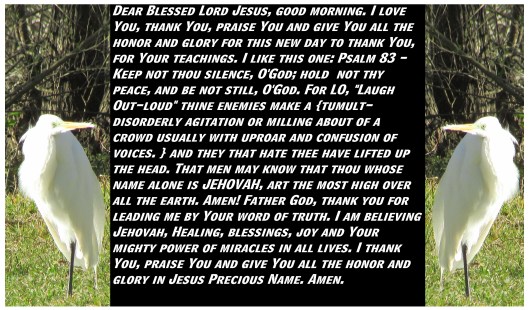 © Photo Artist Susan Ruth Robertson 090025006100 SX 400 (3).JPG