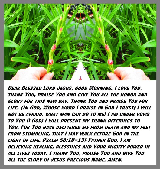 © Photo Artist Susan Ruth Robertson 090025006100 SX 400 (36) - Copy - Copy.JPG