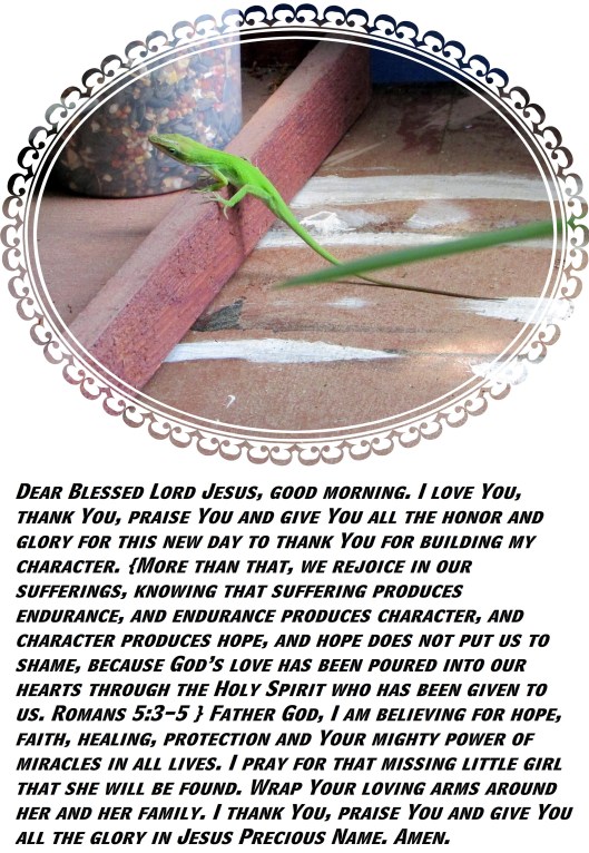 © Photo Artist Susan Ruth Robertson 090025006100 SX 400  (42) - Copy.JPG