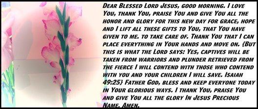 © Photo Artist Susan Ruth Robertson 090025006100 SX 400 (47) - Copy.JPG