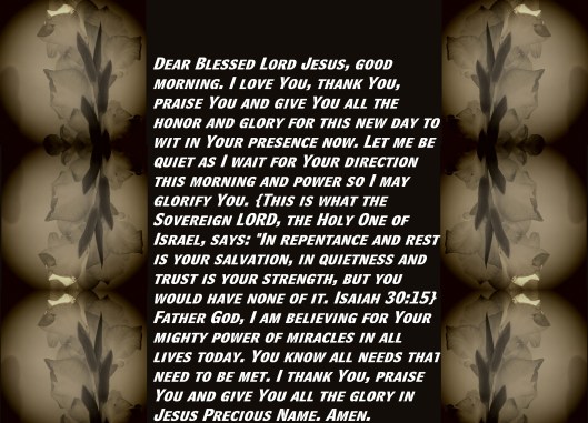 © Photo Artist Susan Ruth Robertson 090025006100 SX 400 (49) - Copy.JPG