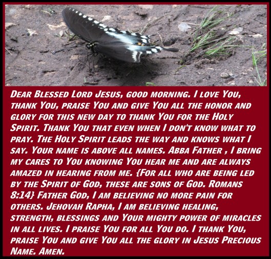 © Photo Artist Susan Ruth Robertson 090025006100 SX 400 (49) - Copy.JPG